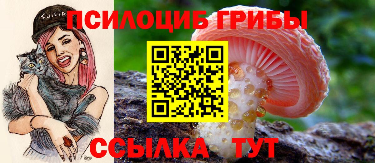 Новокубанск  Галлюциногенные грибы ЛСД  Вход с VPN 