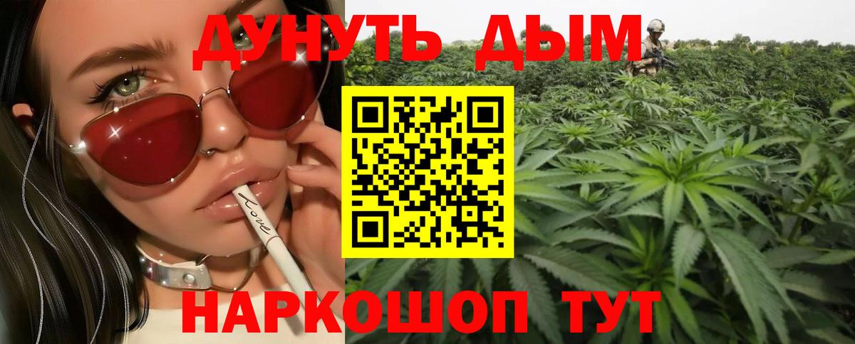 МАРИХУАНА сатива Новокубанск